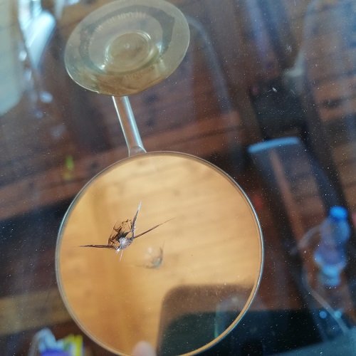 Prasklina Prasklina